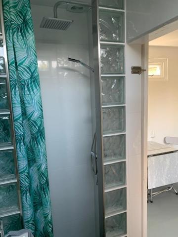 Apartment King Almost By The Sea Zandvoort